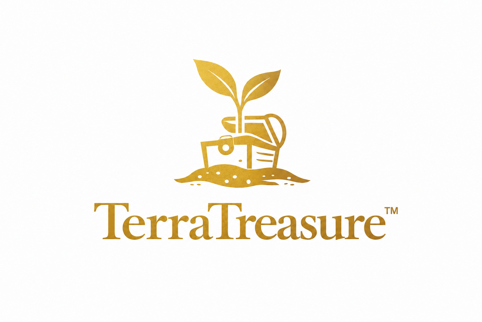 TerraTreasure logo